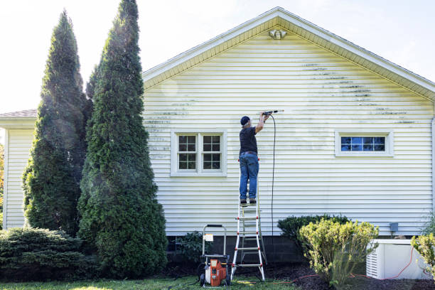 Best Roof Washing  in Millbrook, AL